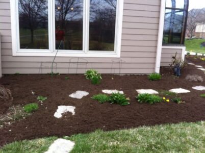 What to Plant Now: Spring Seed-Starting for Midwest (Zone 6) Garden Image